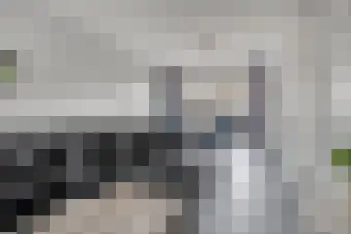 De Ruijterstraat 7 Veghel thumbnail 8