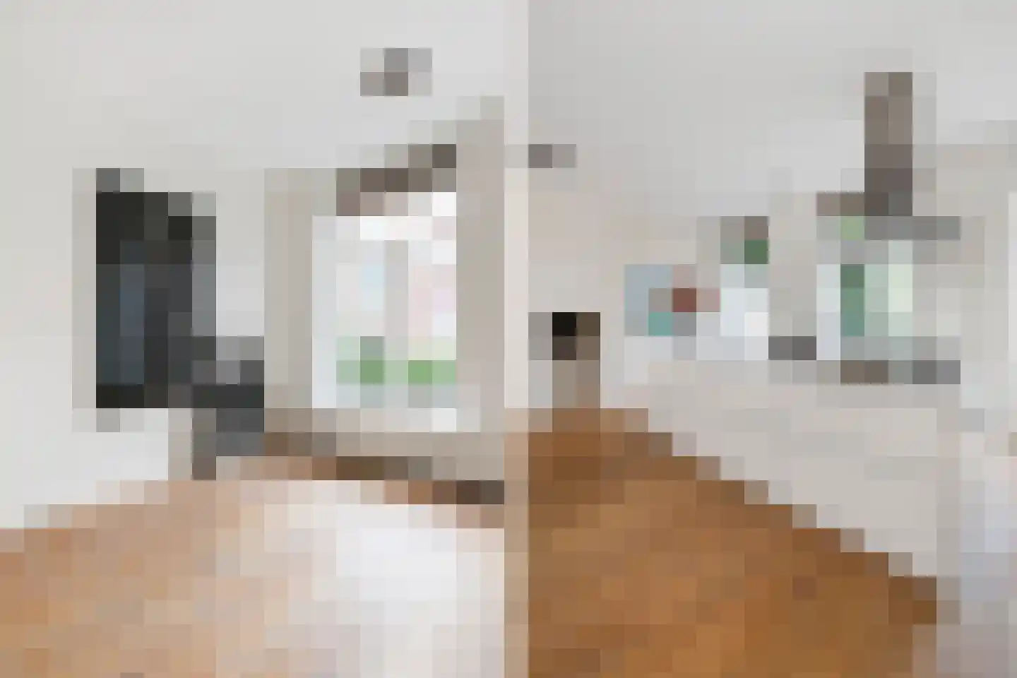 De Ruijterstraat 71 Den Haag thumbnail 38