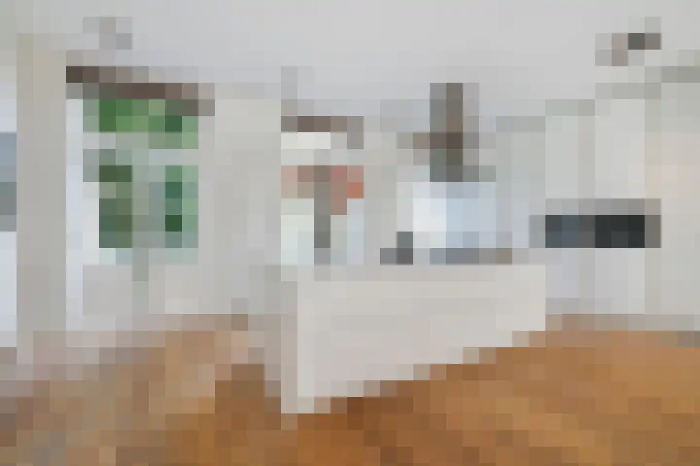 De Ruijterstraat 71 Den Haag thumbnail 4