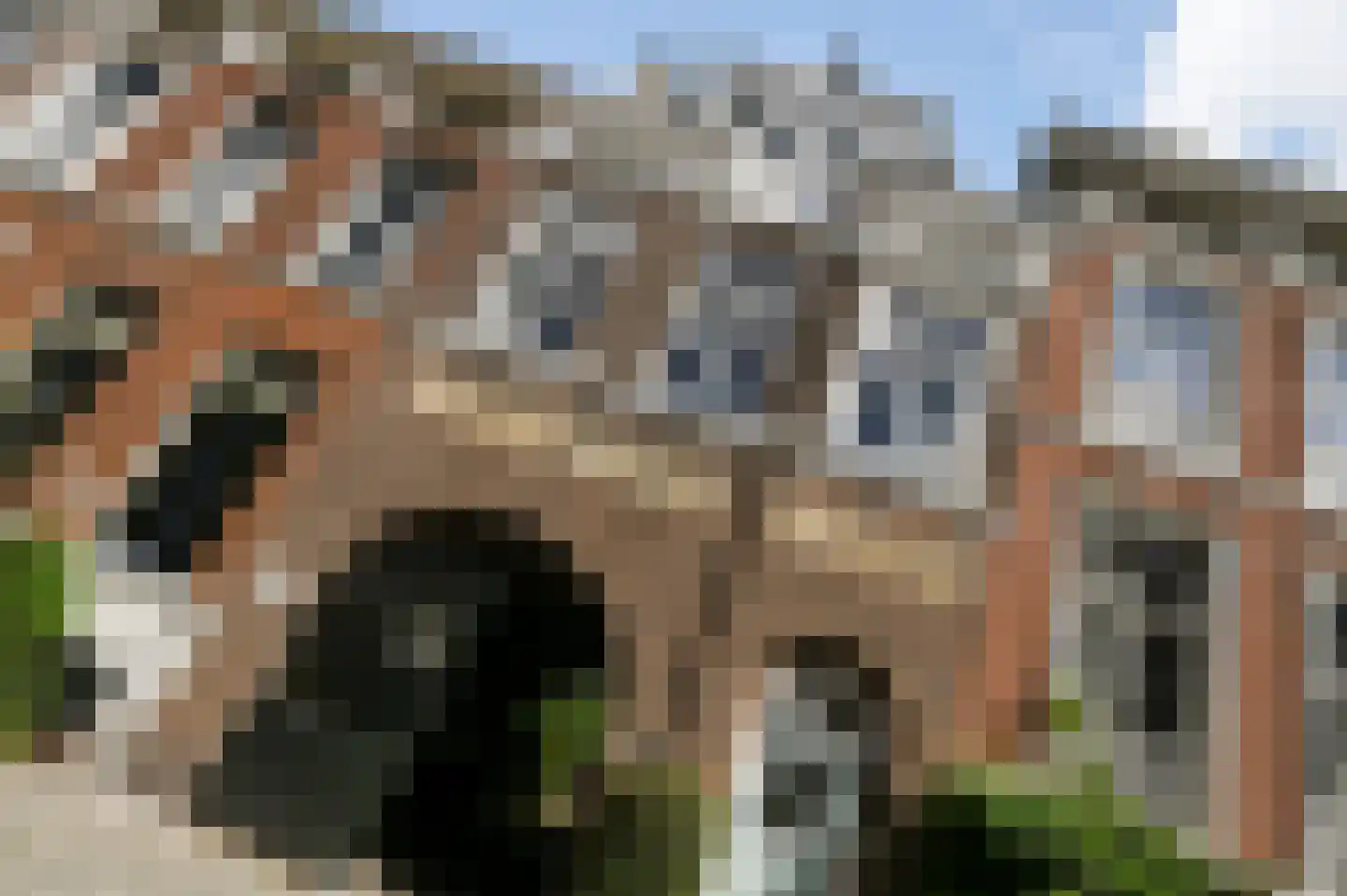 De Ruijterstraat 71 Den Haag thumbnail 7