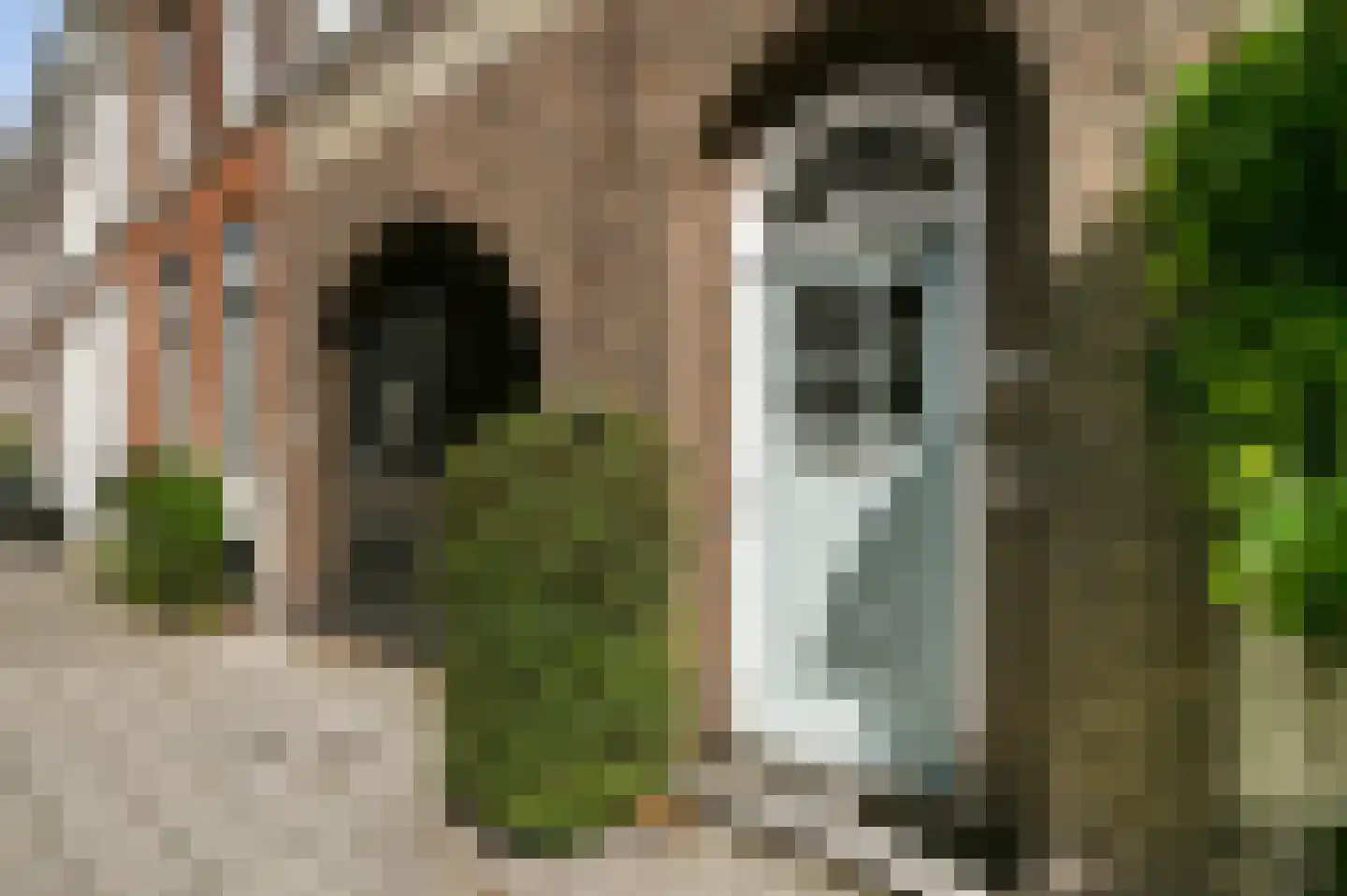 De Ruijterstraat 71 Den Haag thumbnail 8