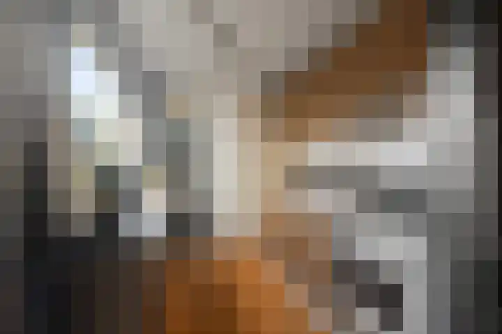 De Ruijterstraat 8 Den Helder thumbnail 8