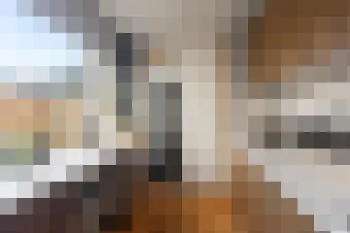 De Ruijterstraat 8 Den Helder thumbnail 9