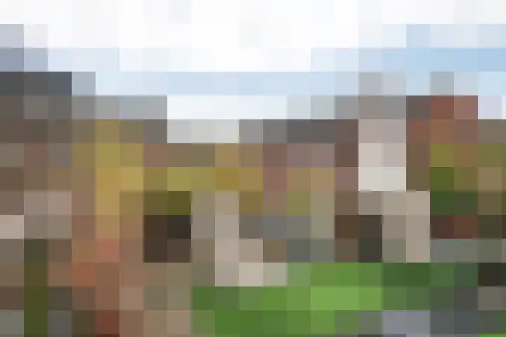 De Ruijterweg 22 RD Haarlem thumbnail 18