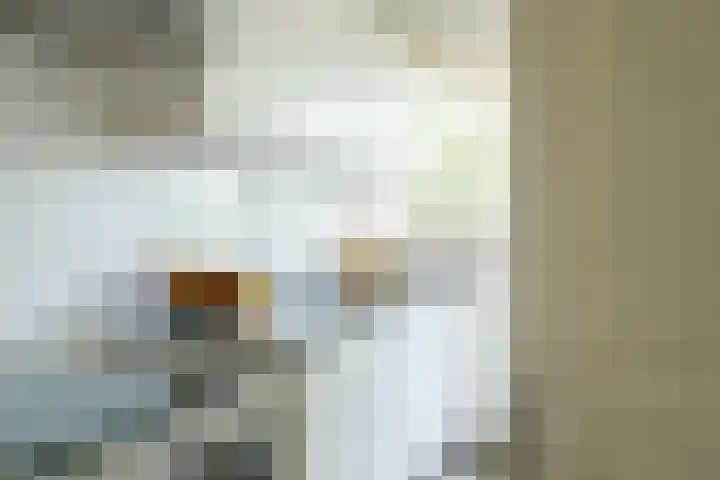 De Ruijterweg 3 Haarlem thumbnail 19
