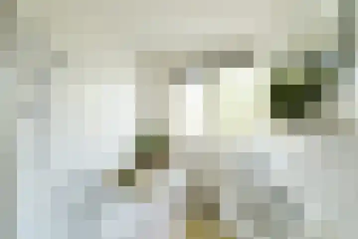De Ruijterweg 3 Haarlem thumbnail 28