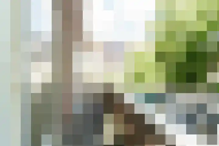De Ruijterweg 3 Haarlem thumbnail 5