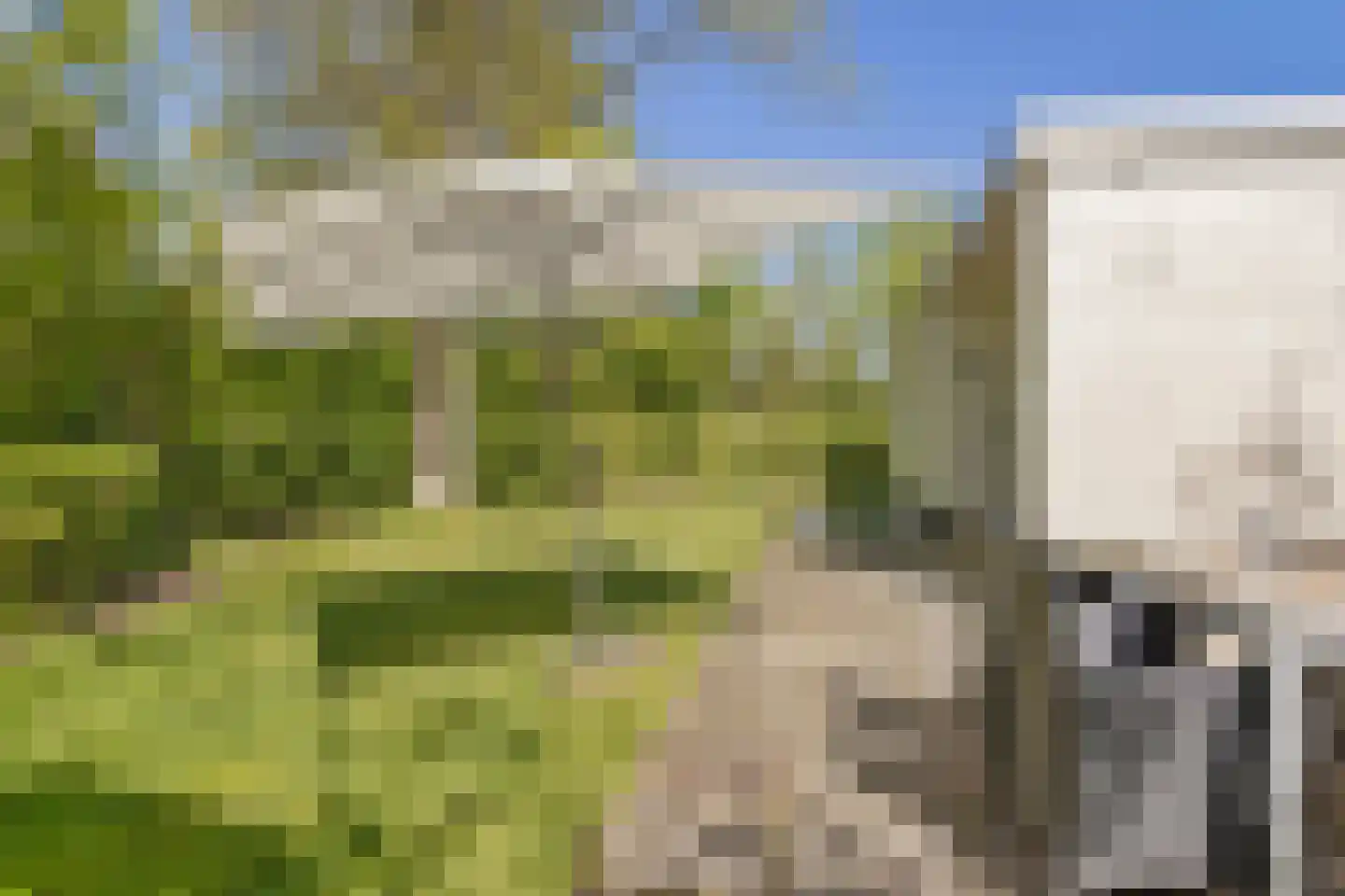 de Ruiser 28 Biggekerke thumbnail 24