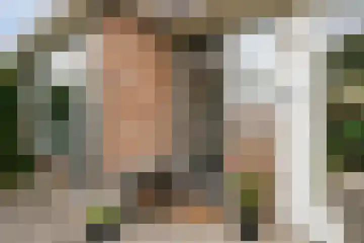 de Ruiser 32 Biggekerke thumbnail 11