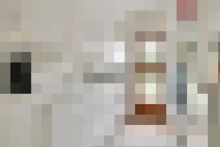 de Ruiser 32 Biggekerke thumbnail 13