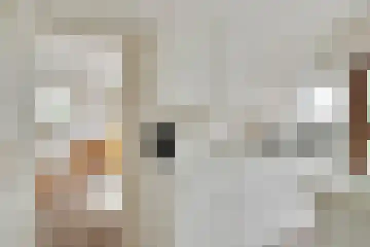 de Ruiser 32 Biggekerke thumbnail 14