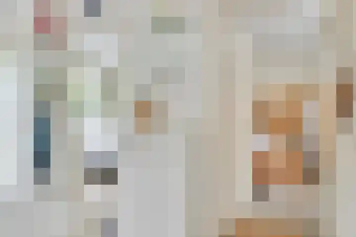 de Ruiser 32 Biggekerke thumbnail 15