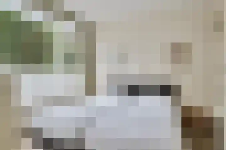 de Ruiser 32 Biggekerke thumbnail 16