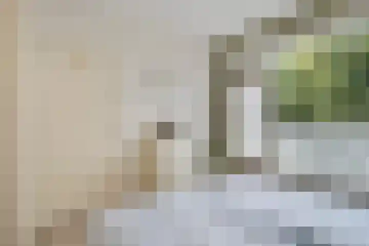 de Ruiser 32 Biggekerke thumbnail 17