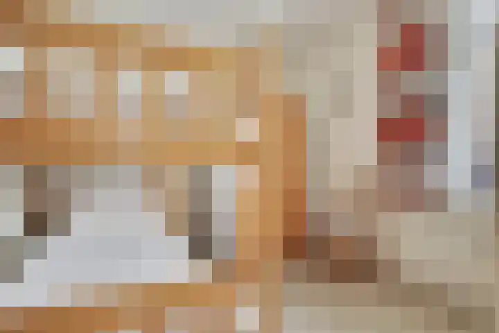de Ruiser 32 Biggekerke thumbnail 18