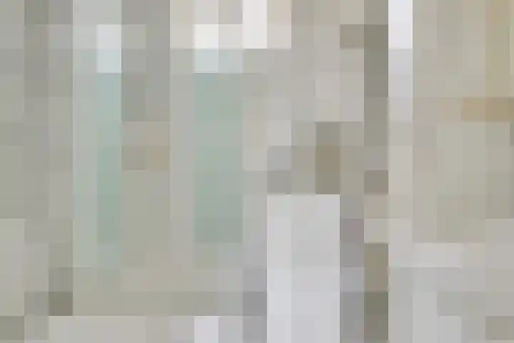 de Ruiser 32 Biggekerke thumbnail 20