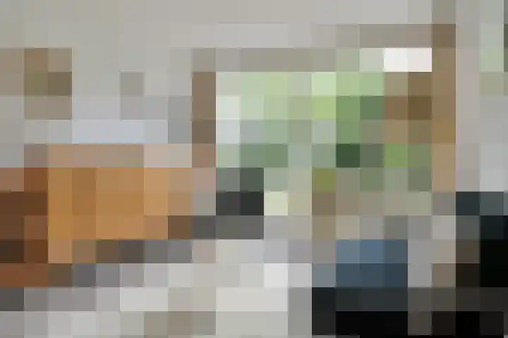 de Ruiser 32 Biggekerke thumbnail 23