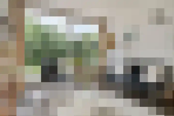 de Ruiser 32 Biggekerke thumbnail 24