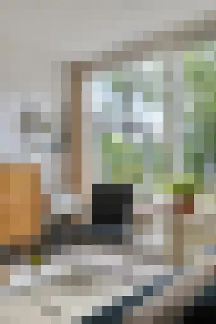 de Ruiser 32 Biggekerke thumbnail 26