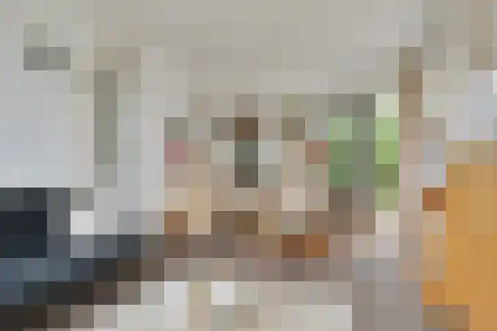 de Ruiser 32 Biggekerke thumbnail 27