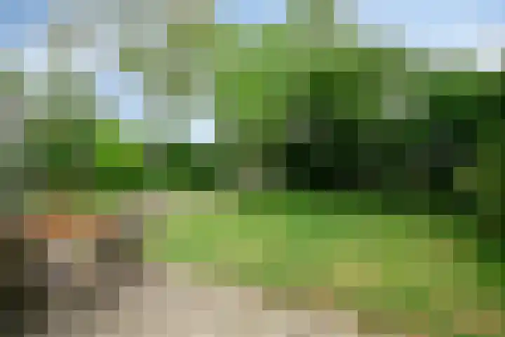 de Ruiser 32 Biggekerke thumbnail 33