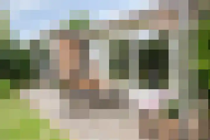 de Ruiser 32 Biggekerke thumbnail 34