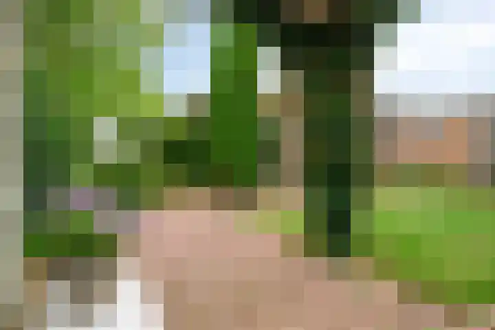 de Ruiser 32 Biggekerke thumbnail 36