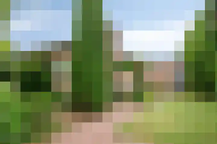 de Ruiser 32 Biggekerke thumbnail 37