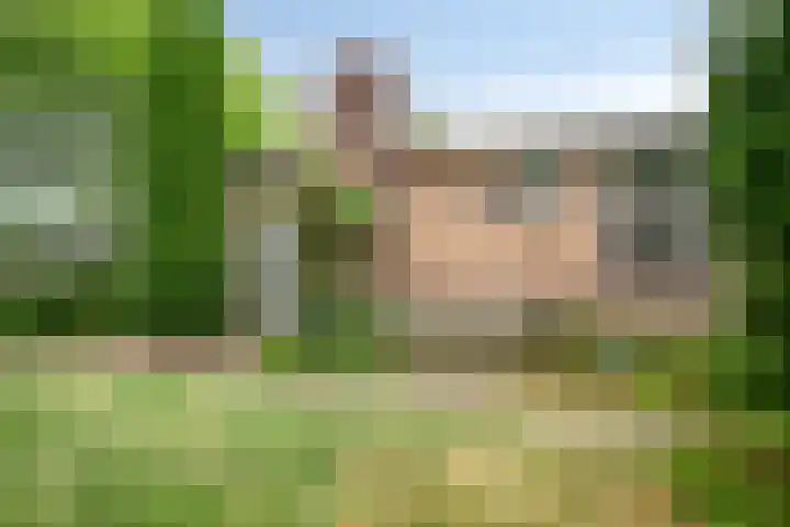 de Ruiser 32 Biggekerke thumbnail 38