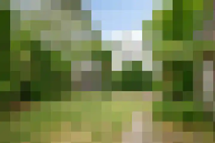 de Ruiser 32 Biggekerke thumbnail 39
