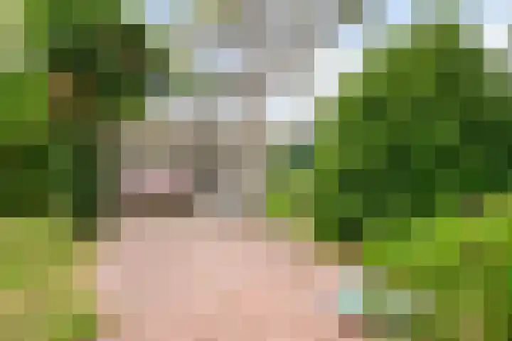 de Ruiser 32 Biggekerke thumbnail 40