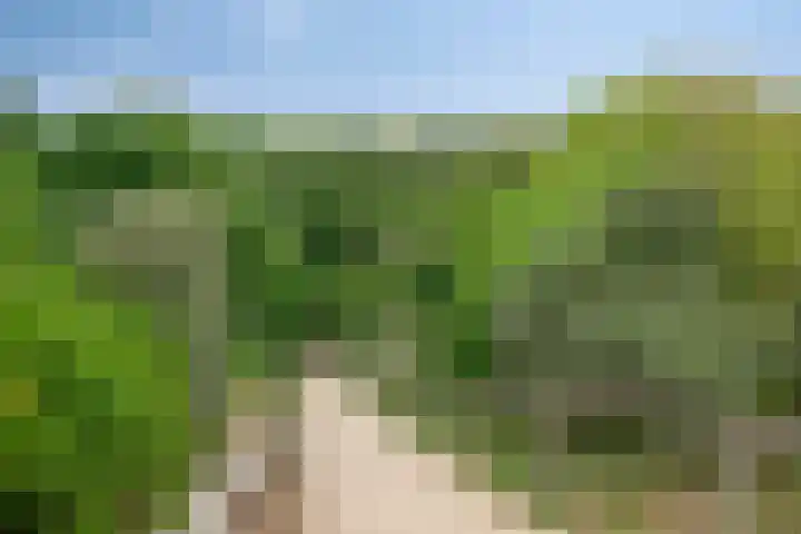 de Ruiser 32 Biggekerke thumbnail 41