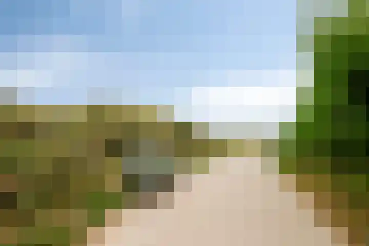 de Ruiser 32 Biggekerke thumbnail 42