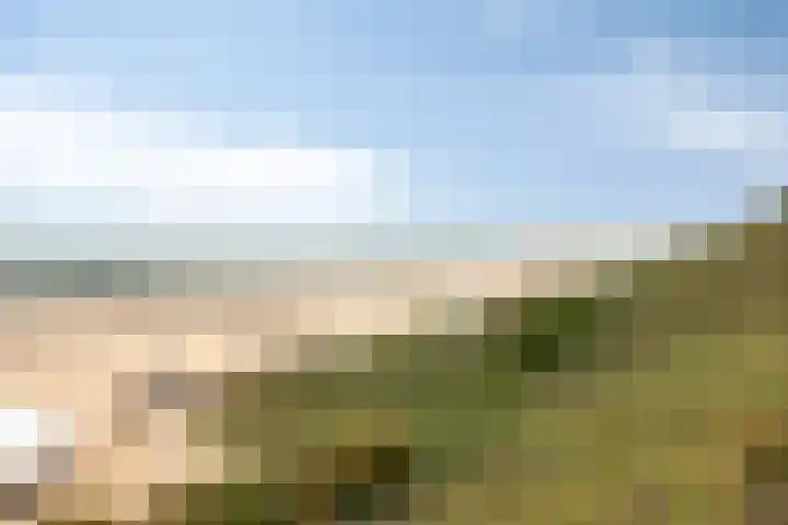 de Ruiser 32 Biggekerke thumbnail 43