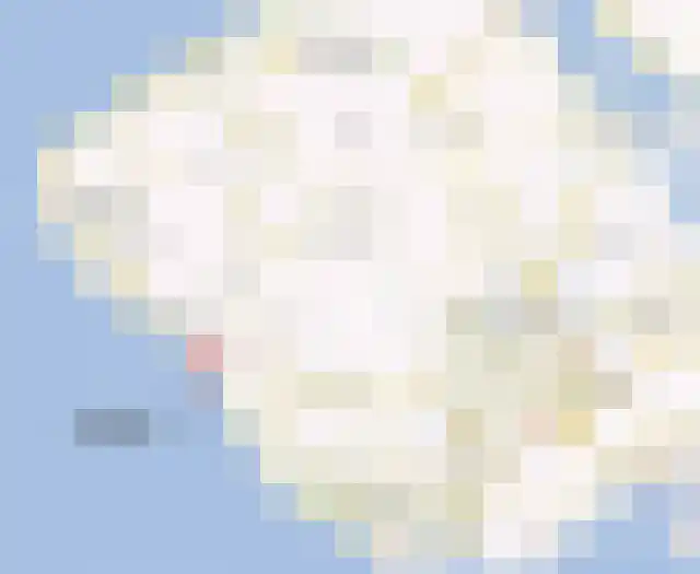 de Ruiser 32 Biggekerke thumbnail 46