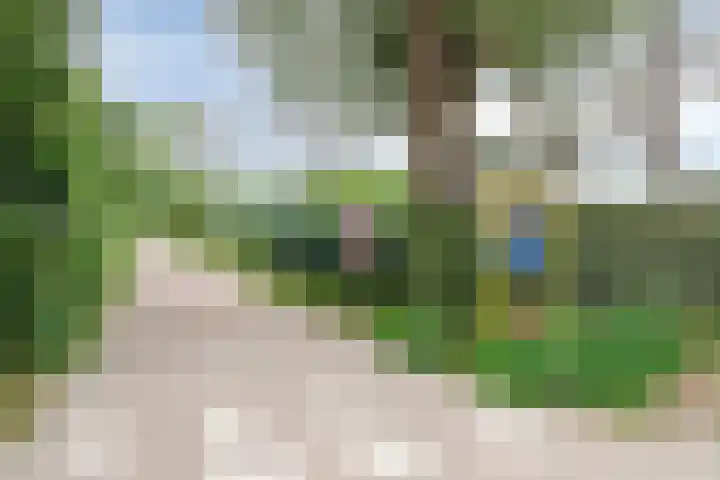 de Ruiser 32 Biggekerke thumbnail 5