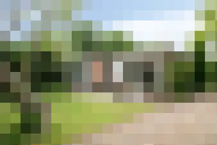 de Ruiser 32 Biggekerke thumbnail 50
