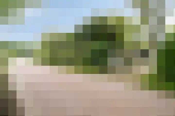 de Ruiser 32 Biggekerke thumbnail 6