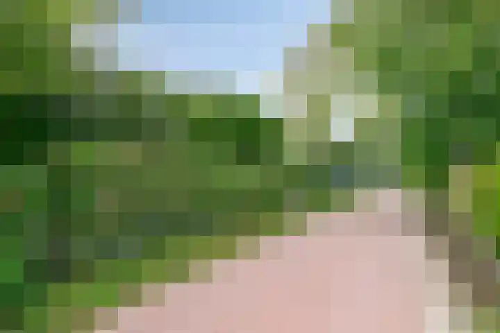 de Ruiser 32 Biggekerke thumbnail 7
