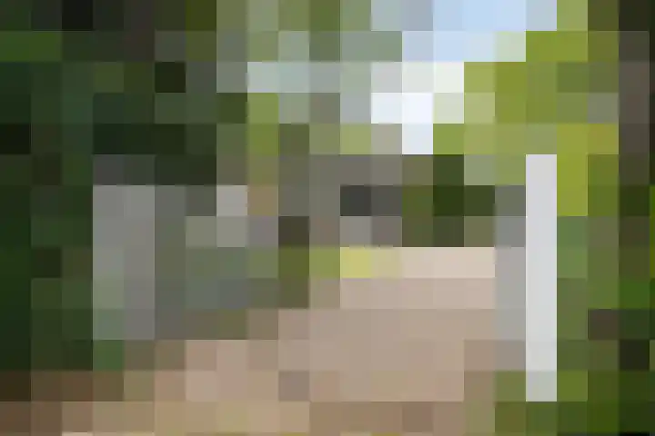 de Ruiser 32 Biggekerke thumbnail 8