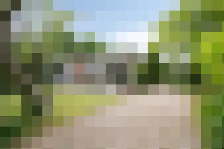 de Ruiser 32 Biggekerke thumbnail 9