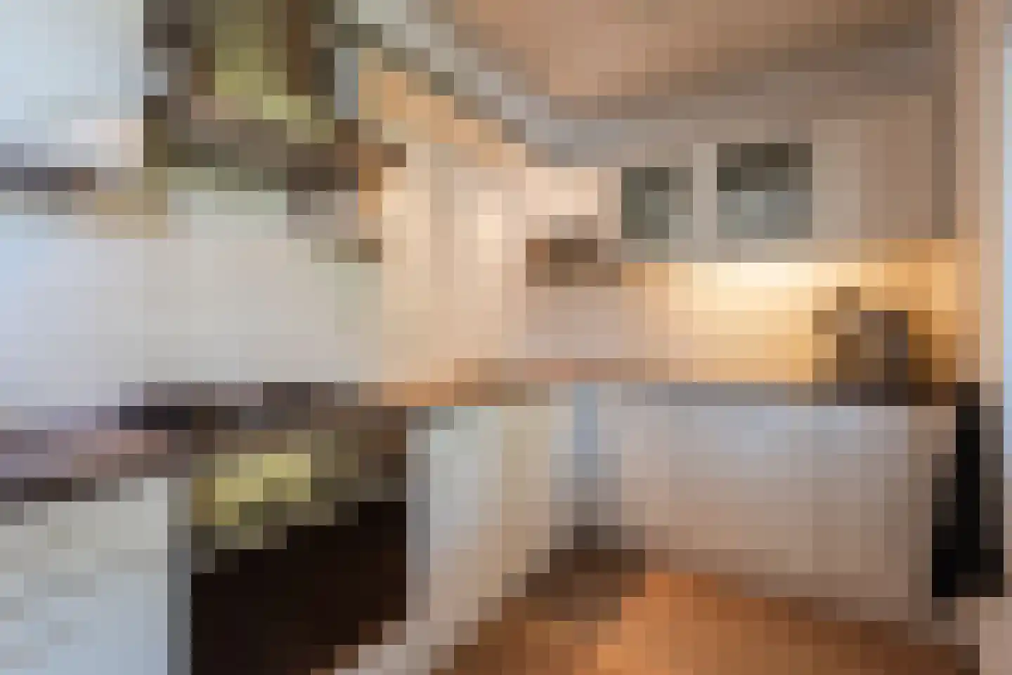 De Ruiten 17 Rutten thumbnail 11