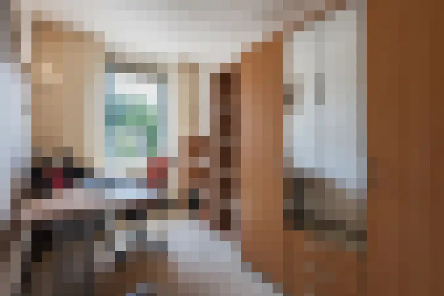 De Ruiten 17 Rutten thumbnail 22