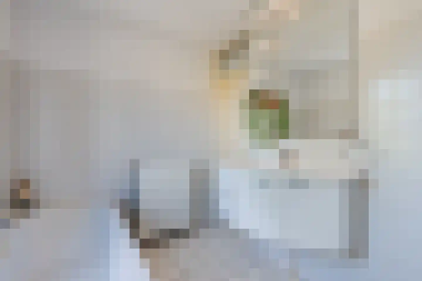 De Ruiten 17 Rutten thumbnail 26