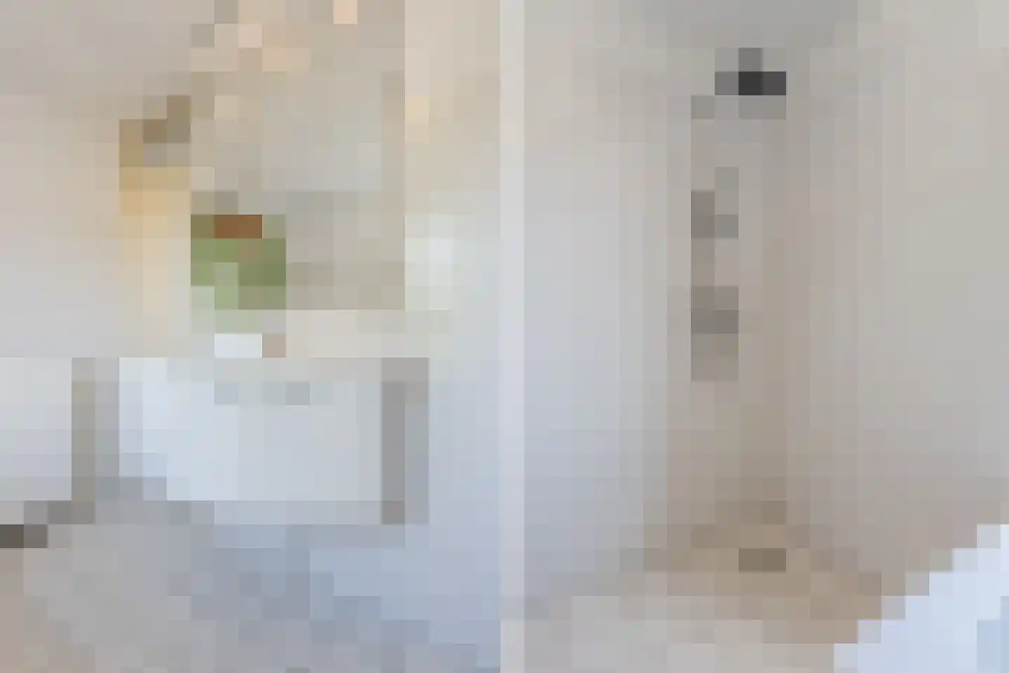De Ruiten 17 Rutten thumbnail 27