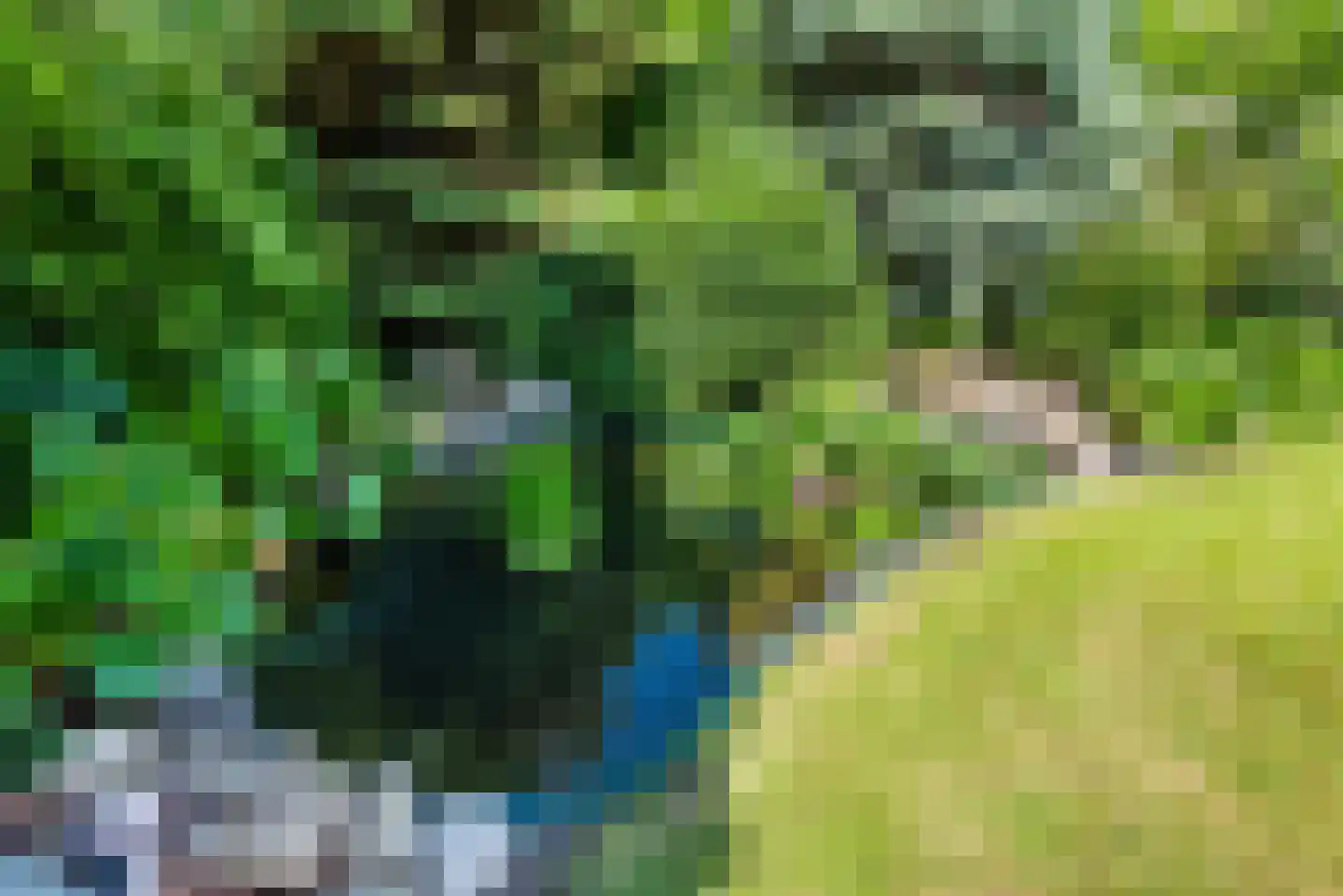 De Ruiten 17 Rutten thumbnail 39