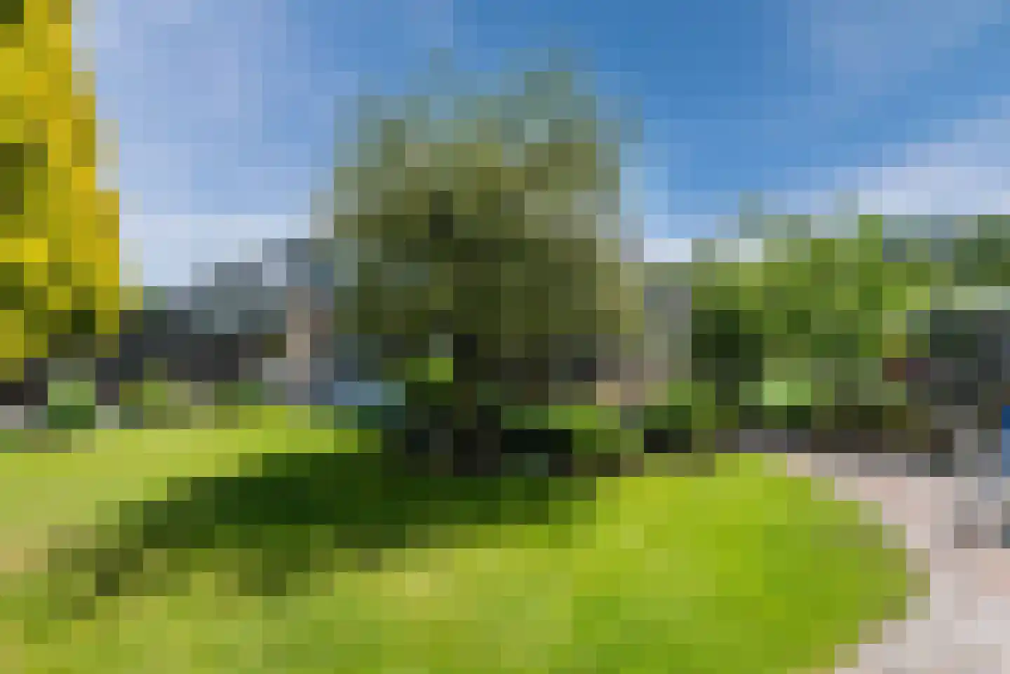 De Ruiten 17 Rutten thumbnail 41