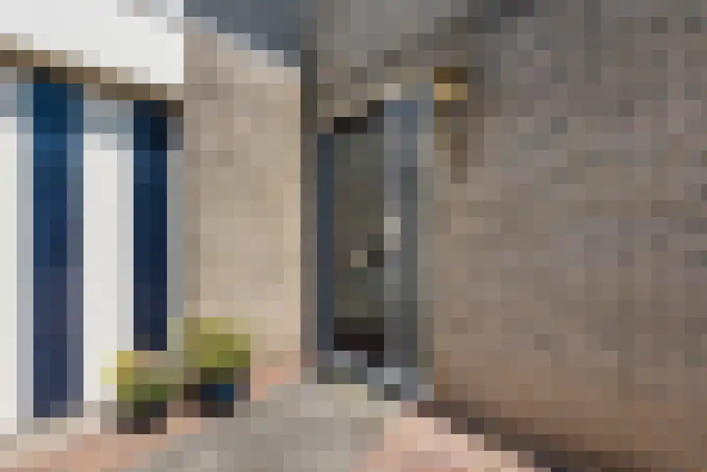 De Ruiten 17 Rutten thumbnail 44