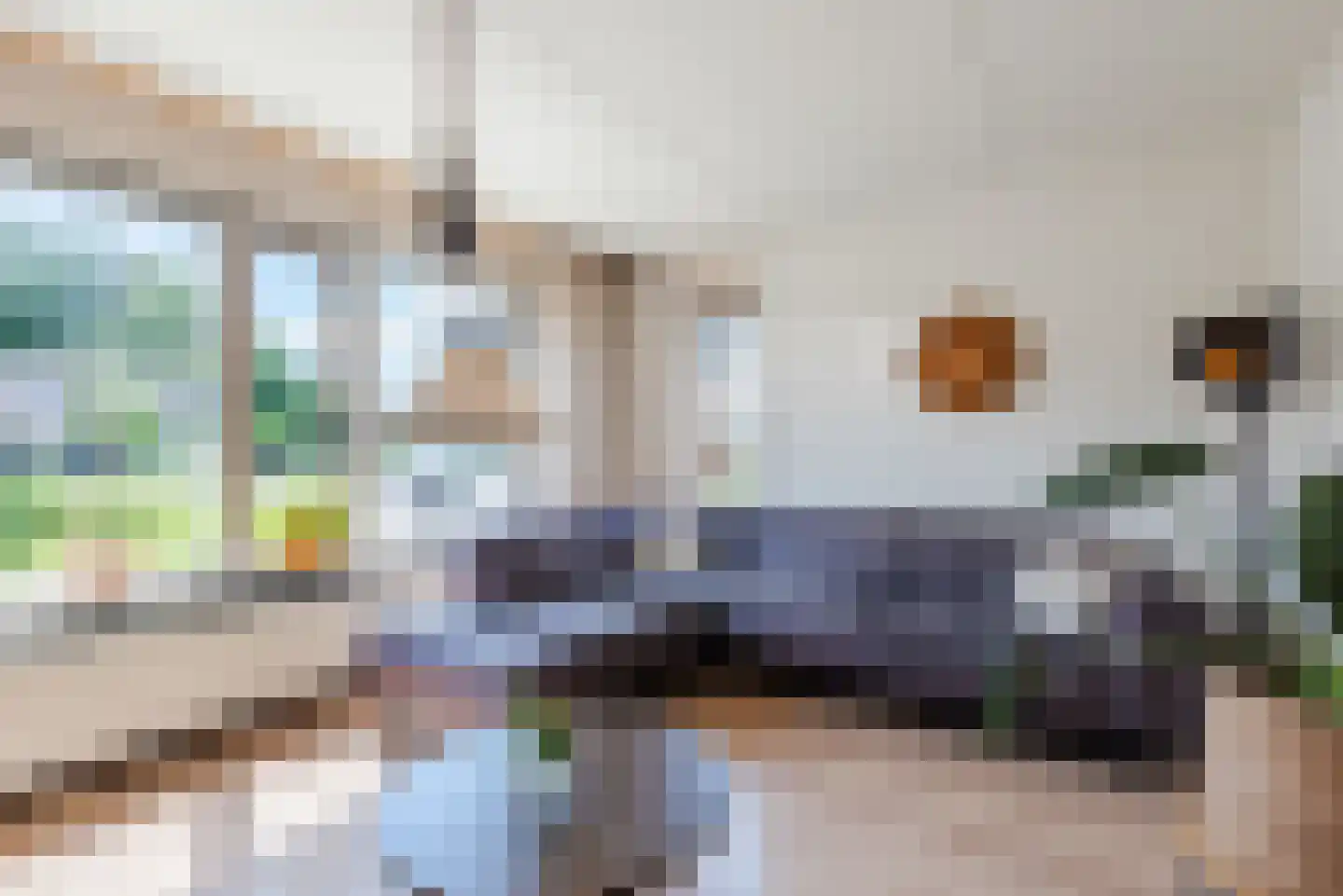 De Ruiten 17 Rutten thumbnail 6