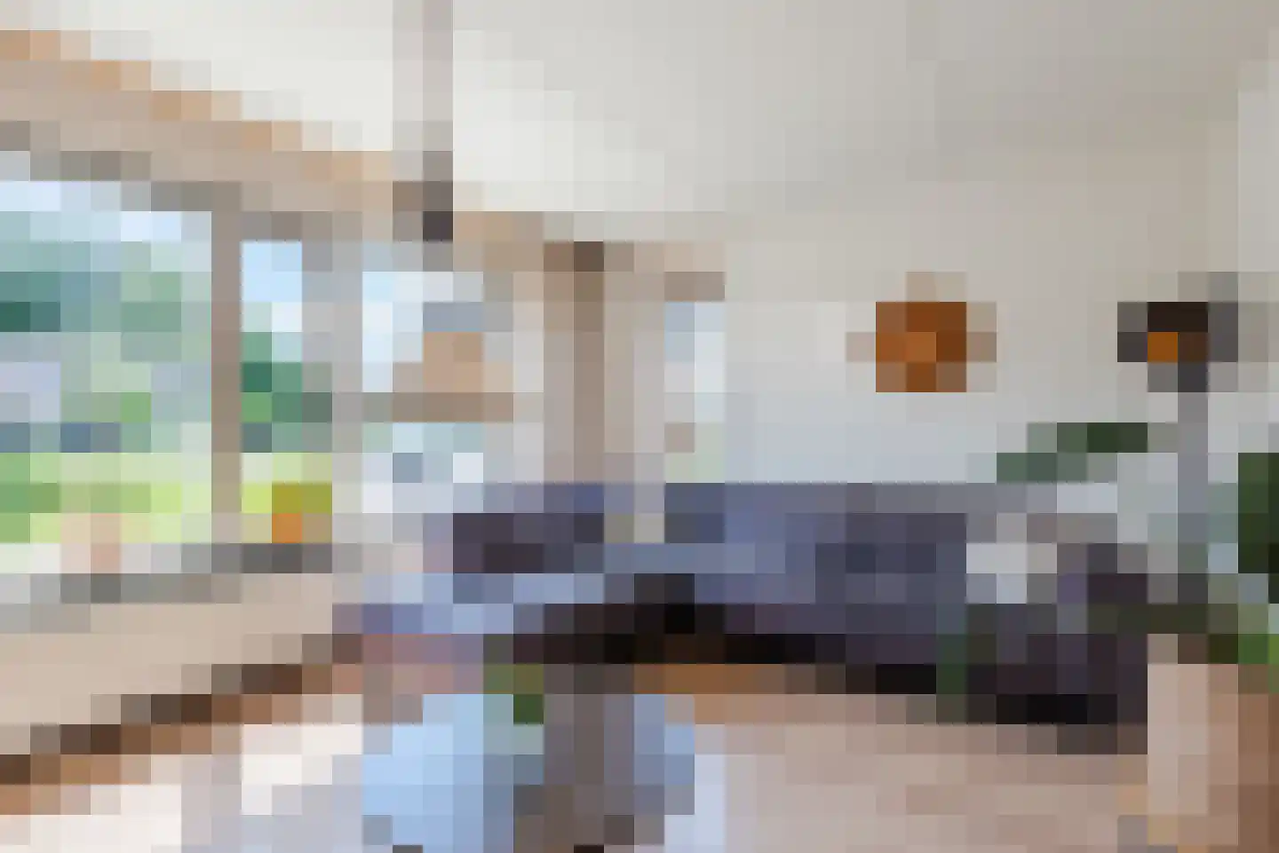 De Ruiten 17 Rutten thumbnail 6